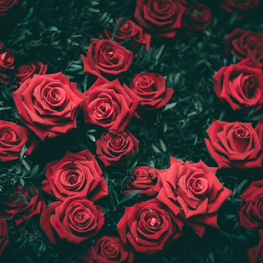 Rosen